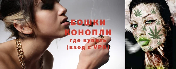 индика Кукмор